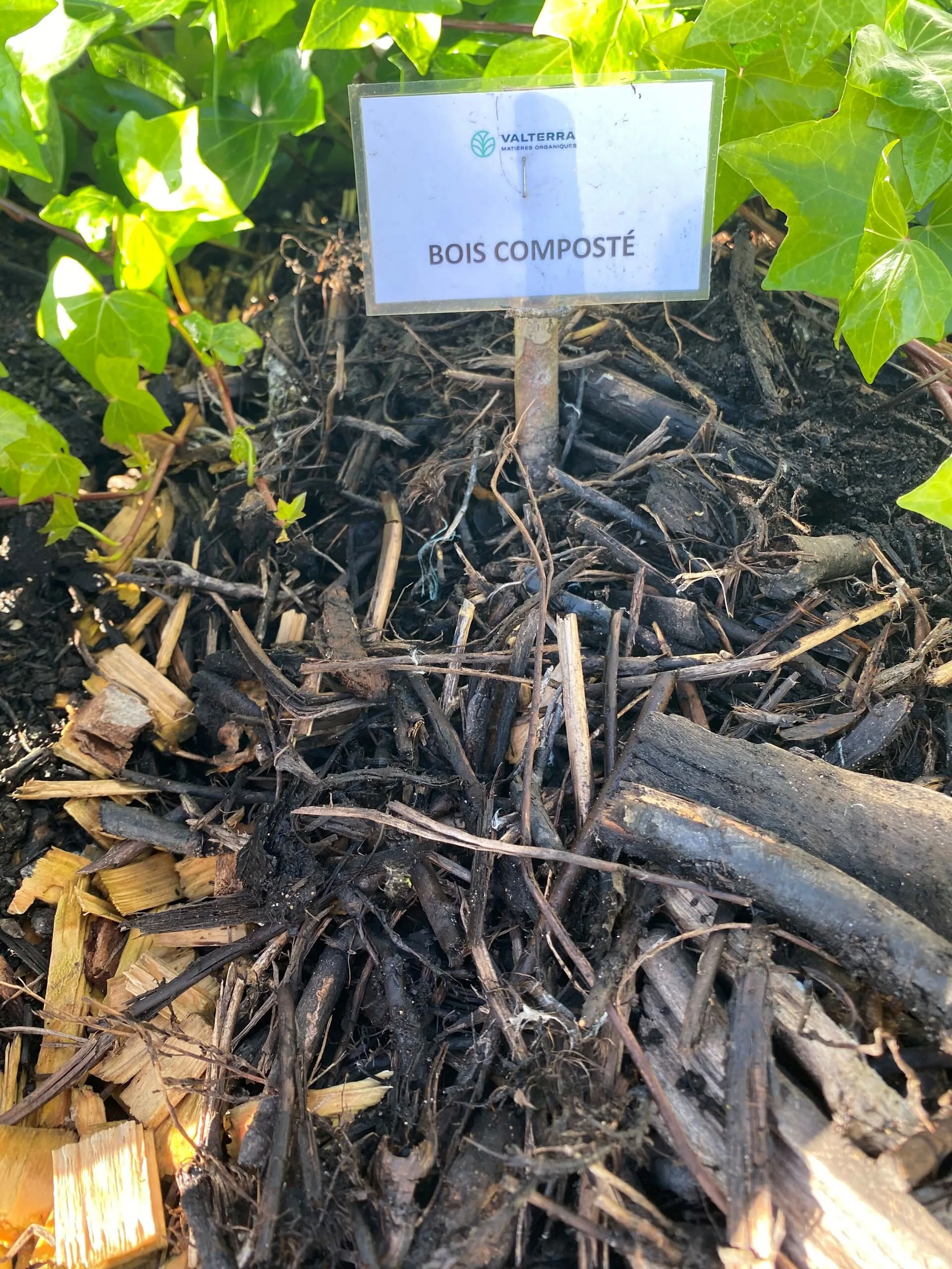 Bois composté