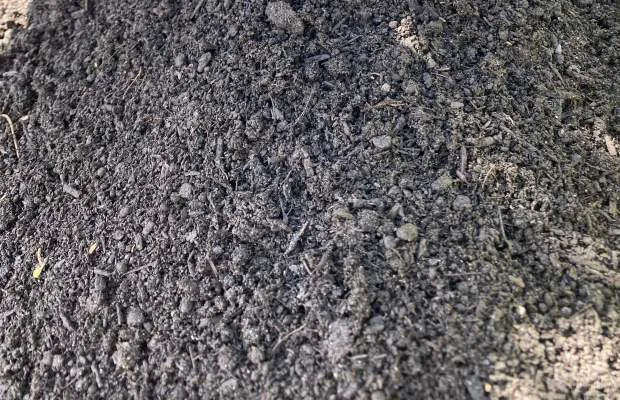Compost vert 0-10