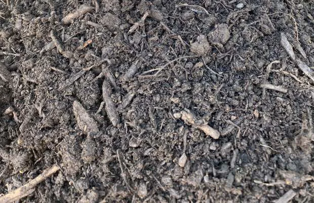 Compost standard 0-25